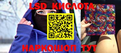 винт Кимры